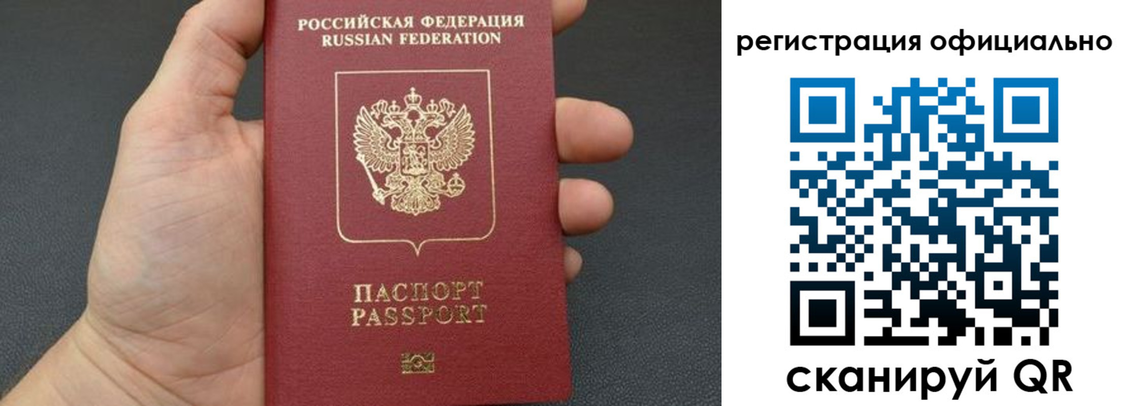 прописка в Электрогорске